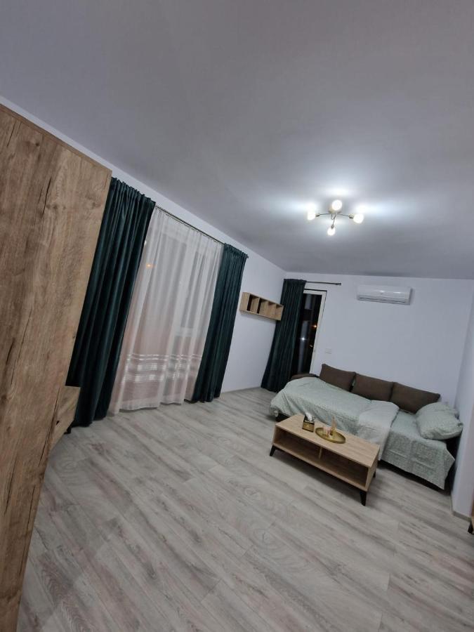 Apartament Modern Cu O Camera Appartement Timişoara Buitenkant foto