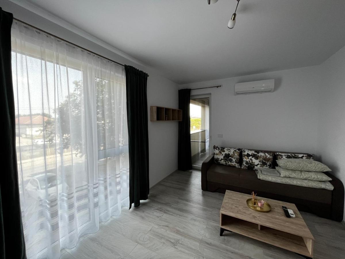 Apartament Modern Cu O Camera Appartement Timişoara Buitenkant foto